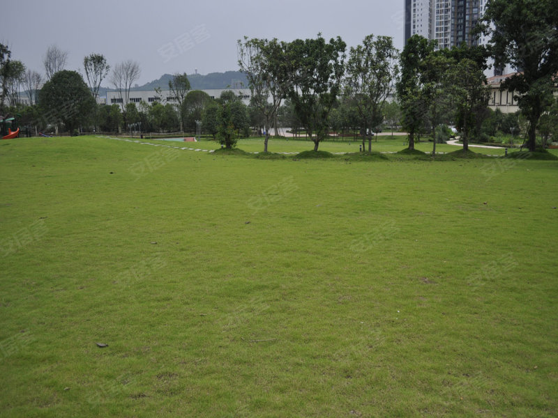 德庆冠旭获省级点赞，打造绿美广东建设的绿色工业样板