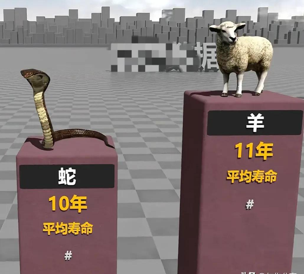 科普｜新研究：灵长类动物中并非总是雄性“说了算”