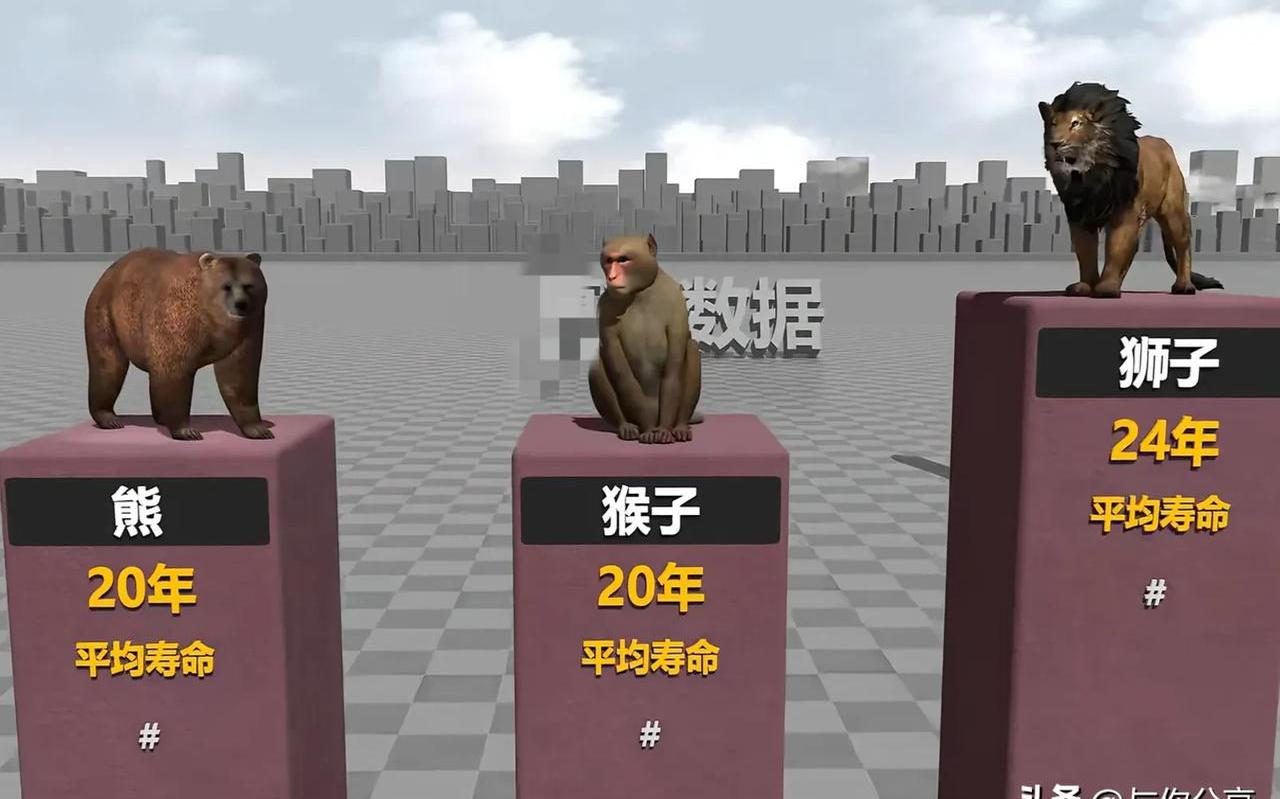 科普｜新研究：灵长类动物中并非总是雄性“说了算”