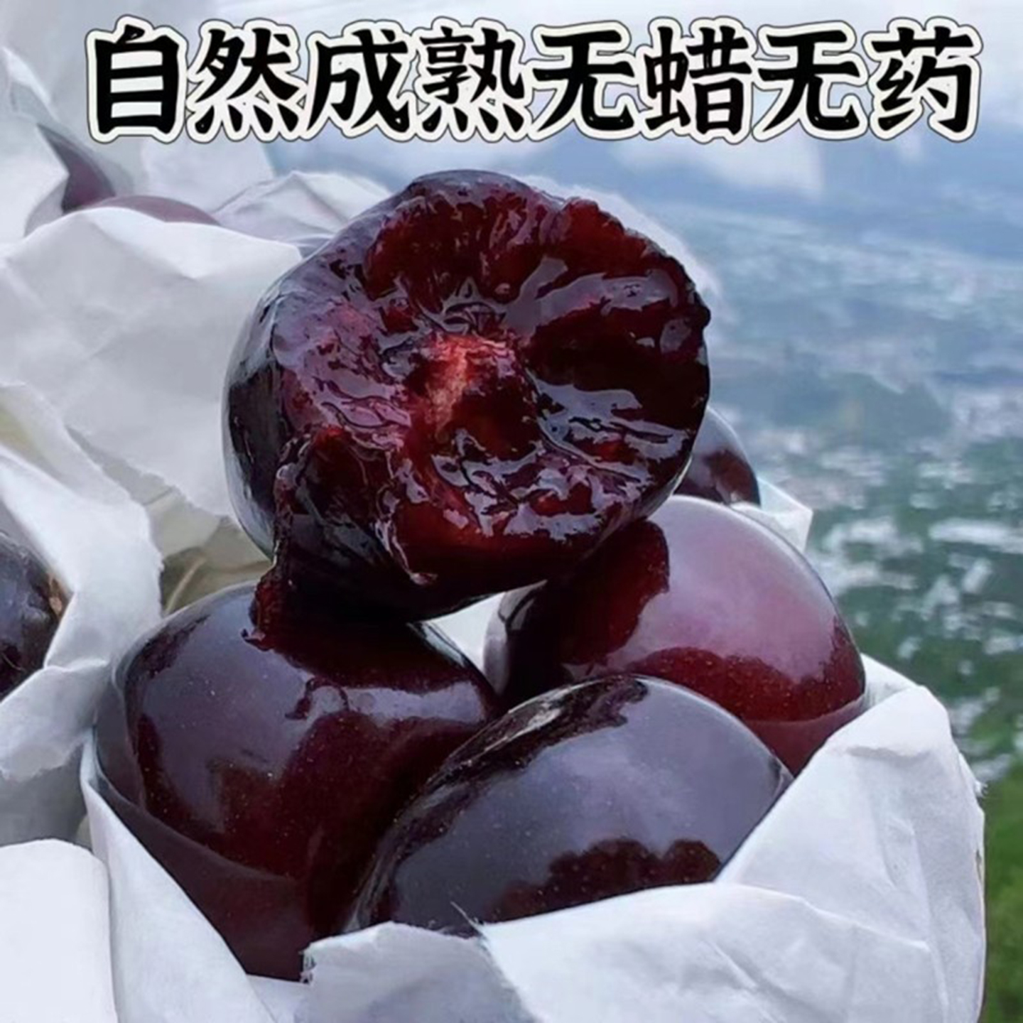助力水果寄递，甘肃樱桃“韵鲜达”