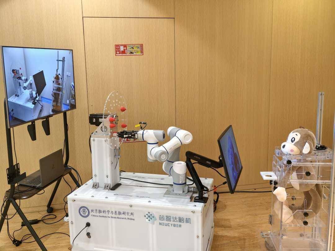 中国首例侵入式脑机接口临床试验成功——意念下棋 科幻成真
