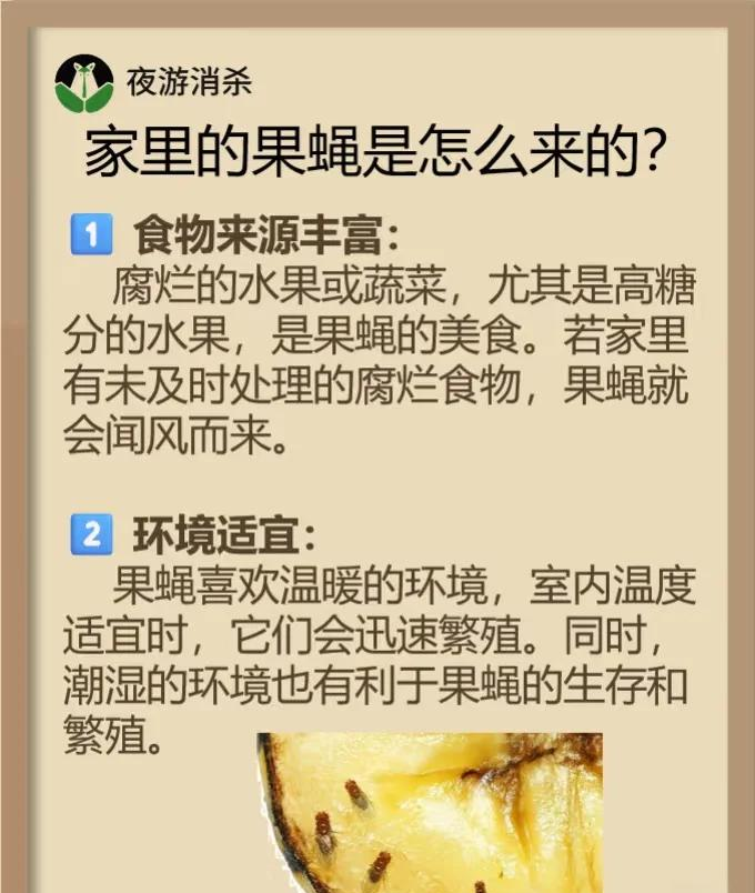 果蝇实验显示幼虫“营养史”会影响寿命