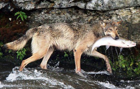 我国科学家发现“吃”硫化氢和甲烷的最深海底生命群落