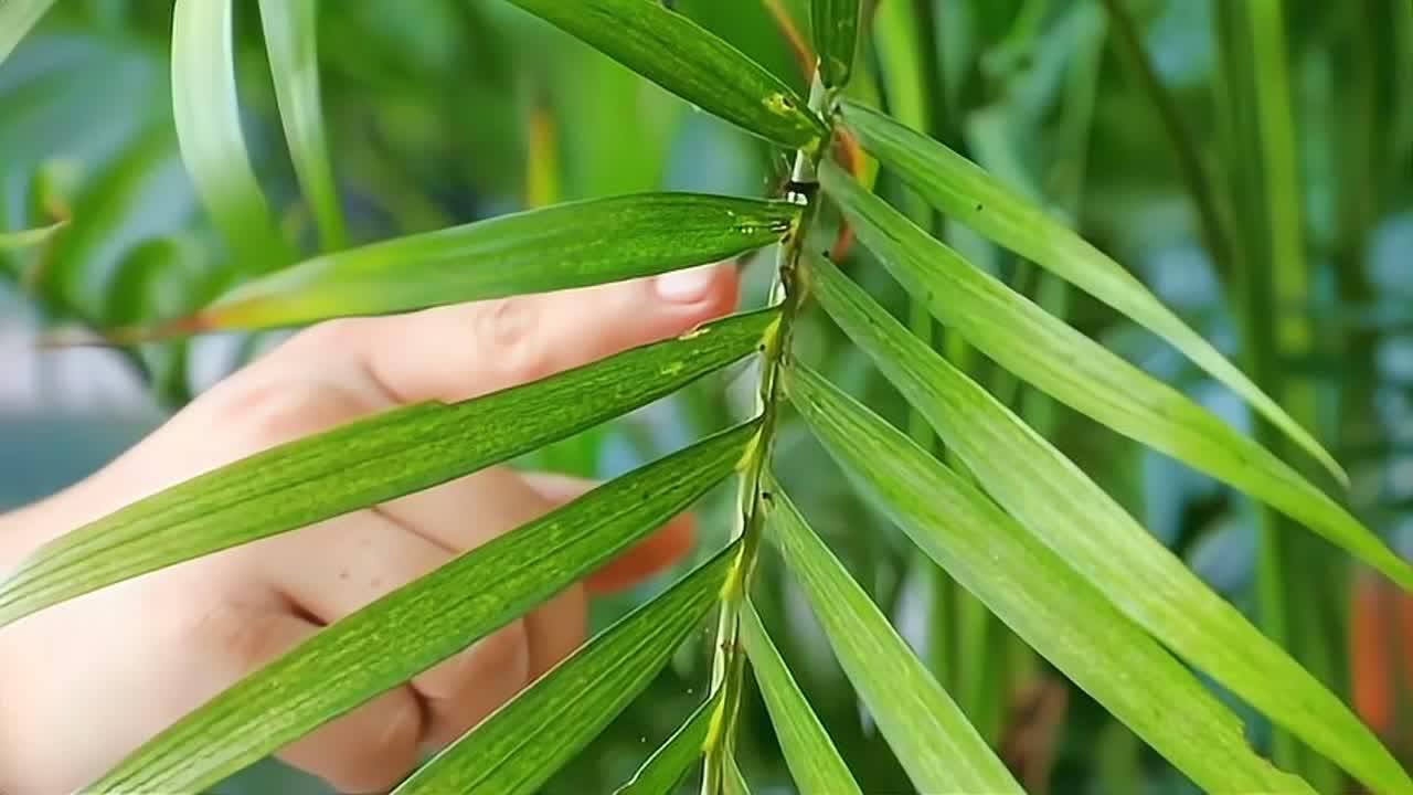 植物通过“危险信号”察觉寄生线虫