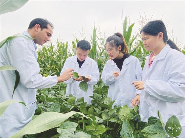 产学研协同构建“运动追高”体系 《中国青少年运动长高蓝皮书》正式发布