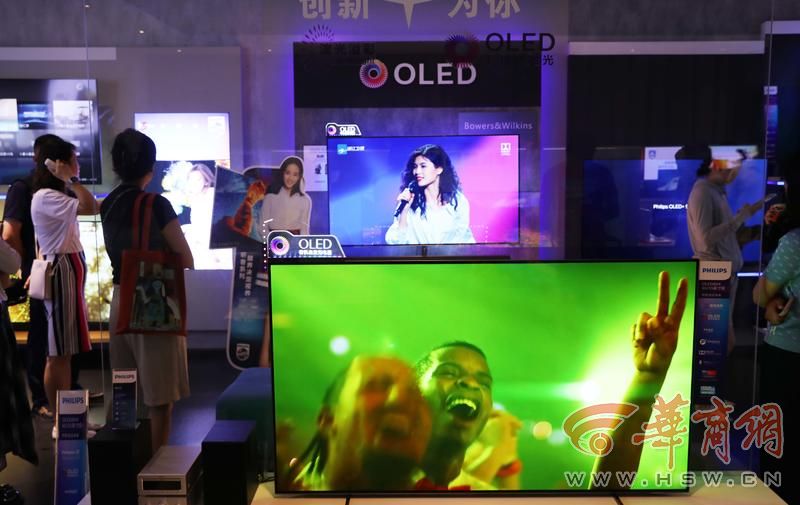 活力中国调研行｜浙江：揽“风”借“光” “电”亮绿色未来