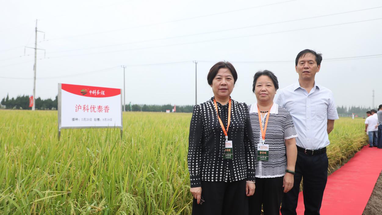 决胜“十四五” 打好收官战丨解锁“芯片”密码 我国种业创新迈出坚实步伐