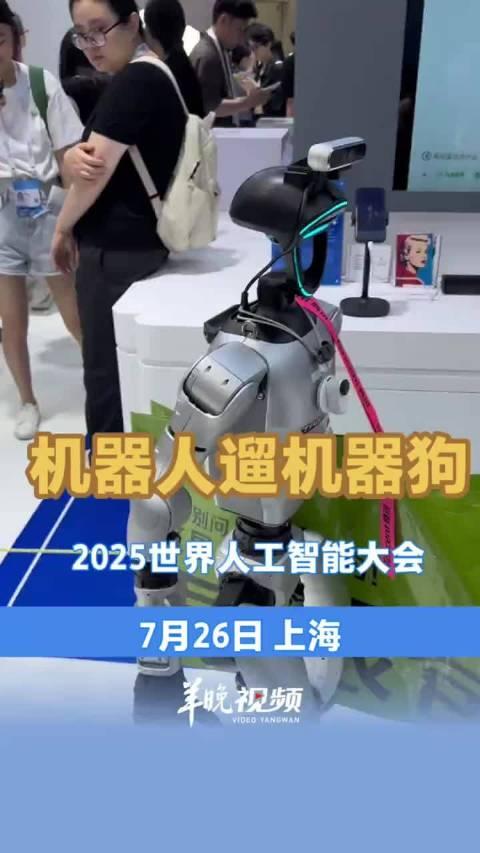 从“循规蹈矩”到“眼明手快”——2025世界机器人大会解码工业机器人跃迁