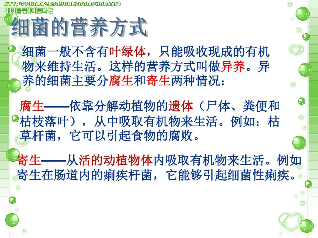 新疗法让细菌与病毒组成抗癌“战队”