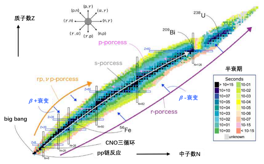 国际团队发现富含重元素的超新星