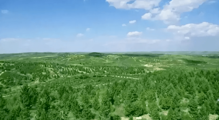 左右沙发十年公益治沙行动：以绿色理念筑牢生态屏障