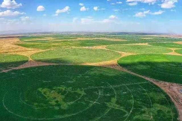 左右沙发十年公益治沙行动：以绿色理念筑牢生态屏障