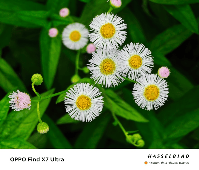 某平台分别被两家高院判赔6000万、2910万