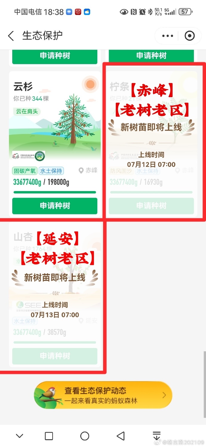 蚂蚁森林9年种下6.19亿棵树,蚂蚁集团为种树已累计协议捐资超45亿元