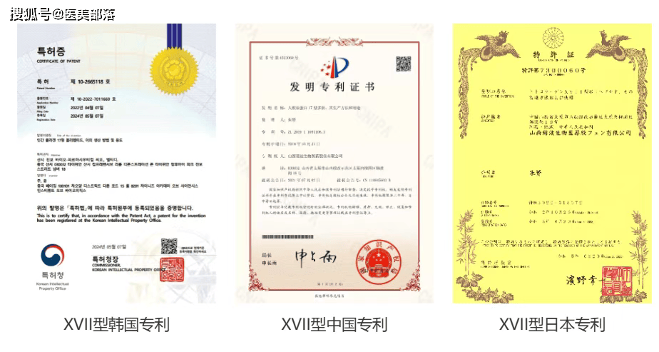 科锐国际2025上半年业绩亮眼 营收净利双增