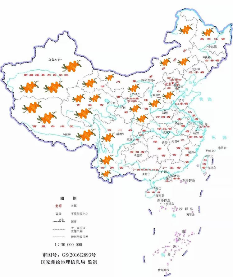 研究：热带地区植树对改善气候效果更佳