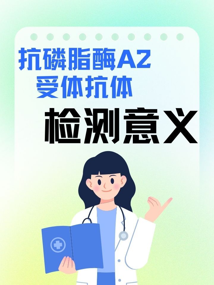 研究显示一种抗体有助于治疗慢性肾病