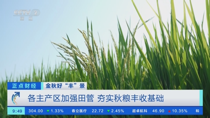 科学防治保丰收——秋粮主产区“虫口夺粮”观察