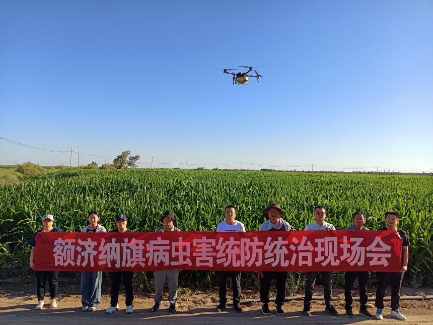 科学防治保丰收——秋粮主产区“虫口夺粮”观察