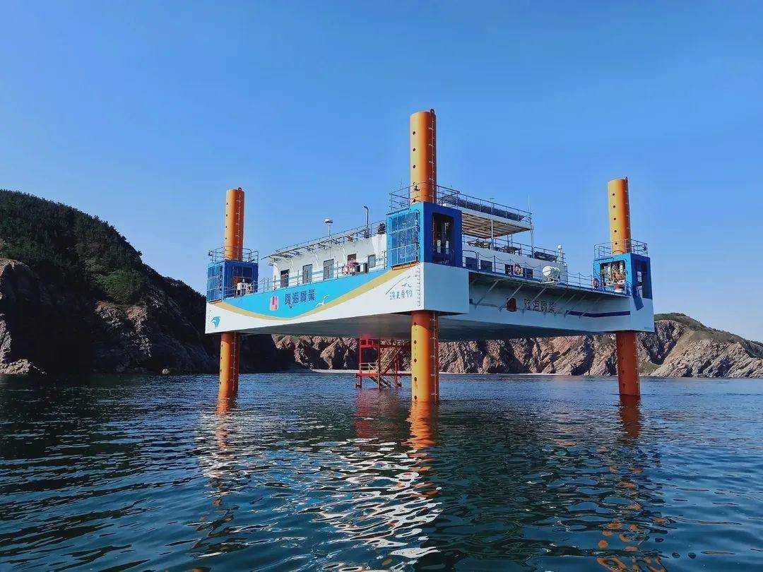 权威访谈丨坚持科技开放合作造福人类——访科技部国际科技合作中心主任赵静