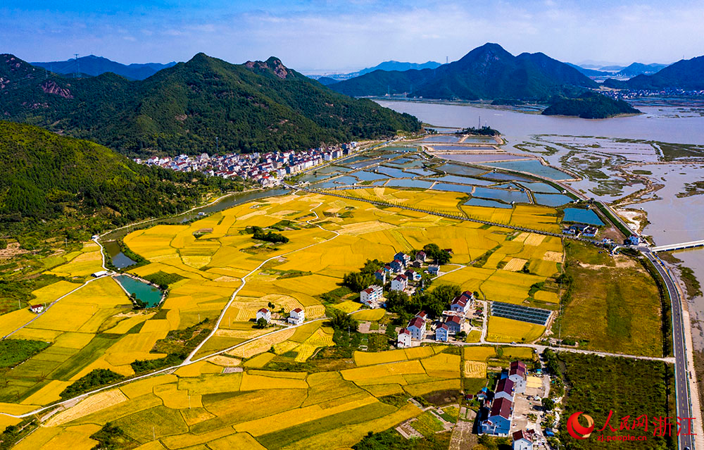 田园出“超模” “丰”景绘振兴：国铁西安局“惠农专列”助丰收