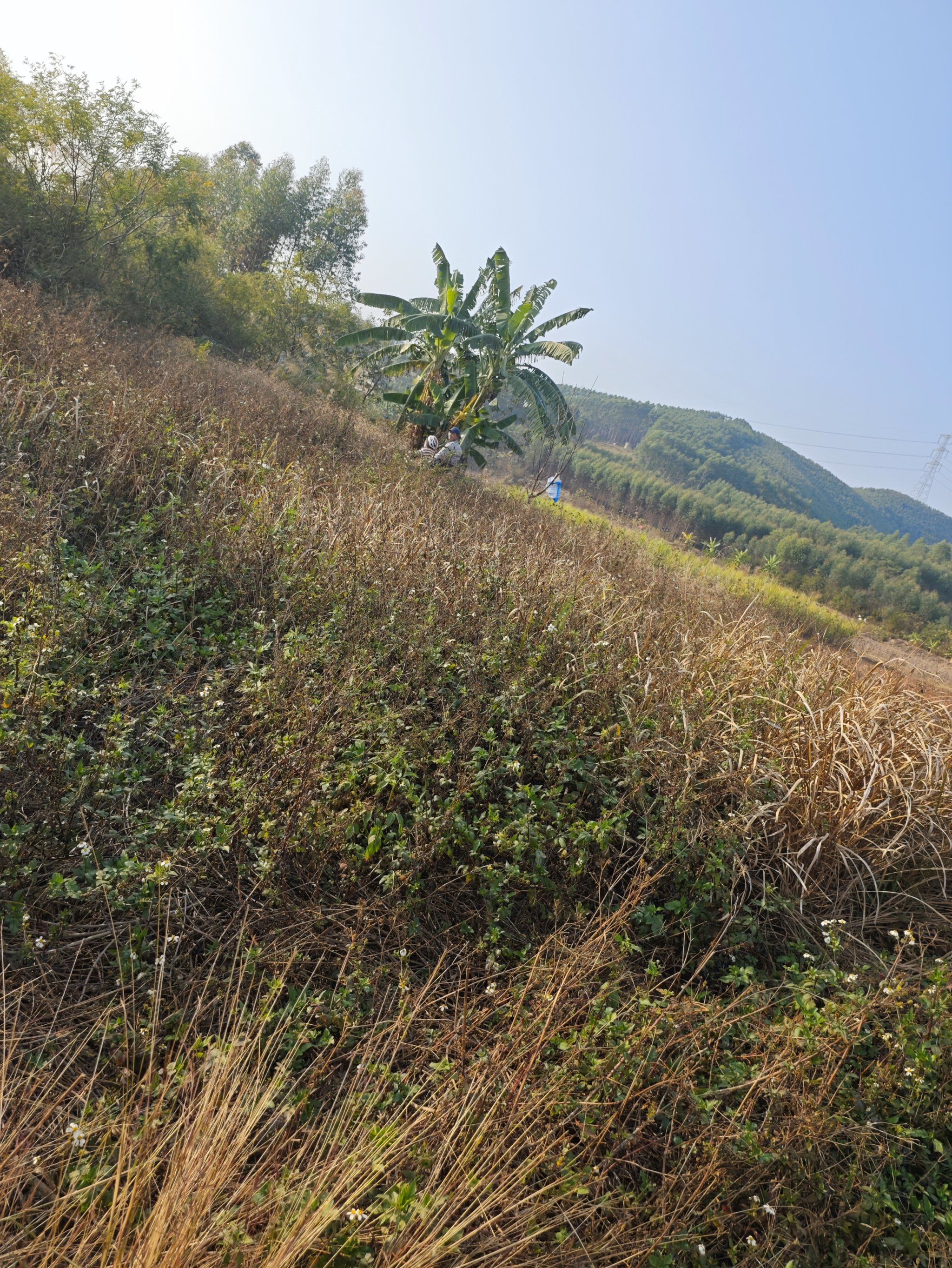 全地形车市场迎来“颠覆者”，重新定义高端越野体验