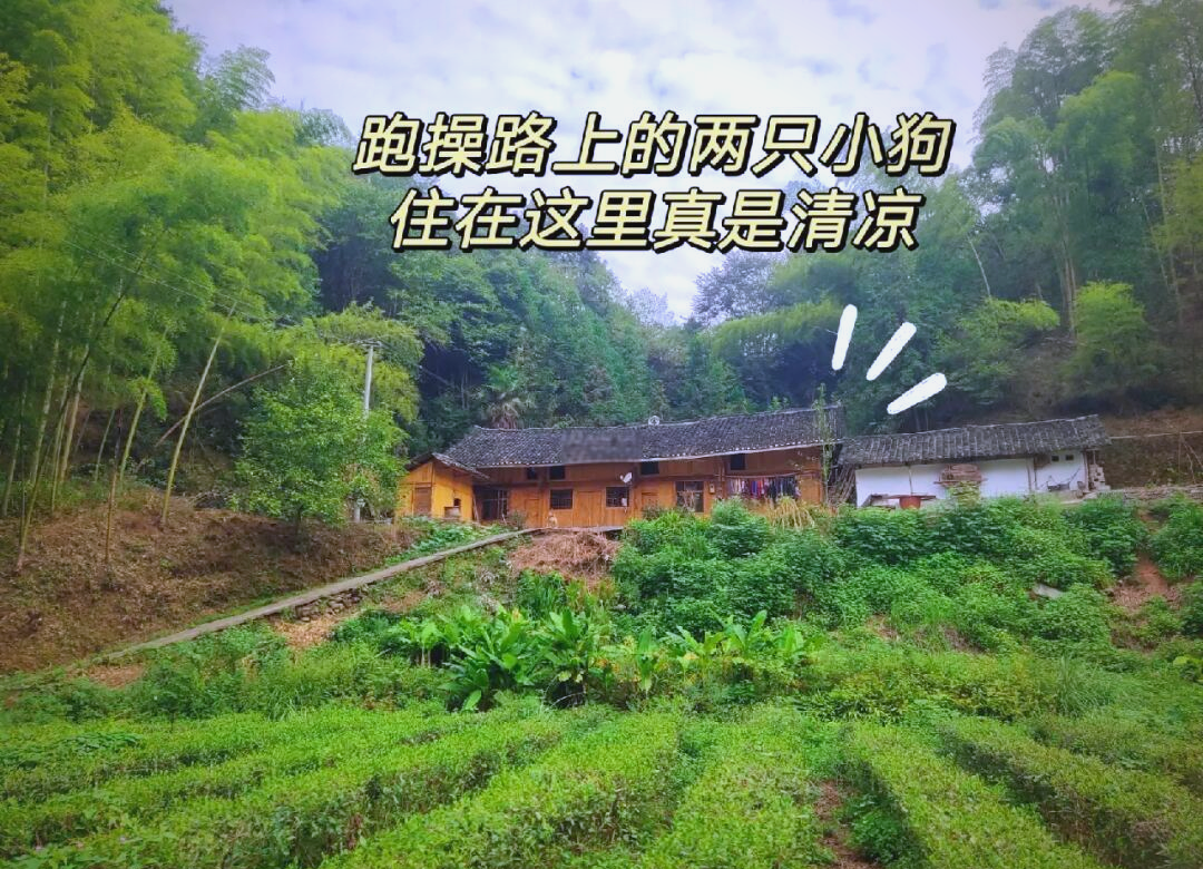 “00后”选调生办“田园高定”秀 烟火文创焕发乡村活力
